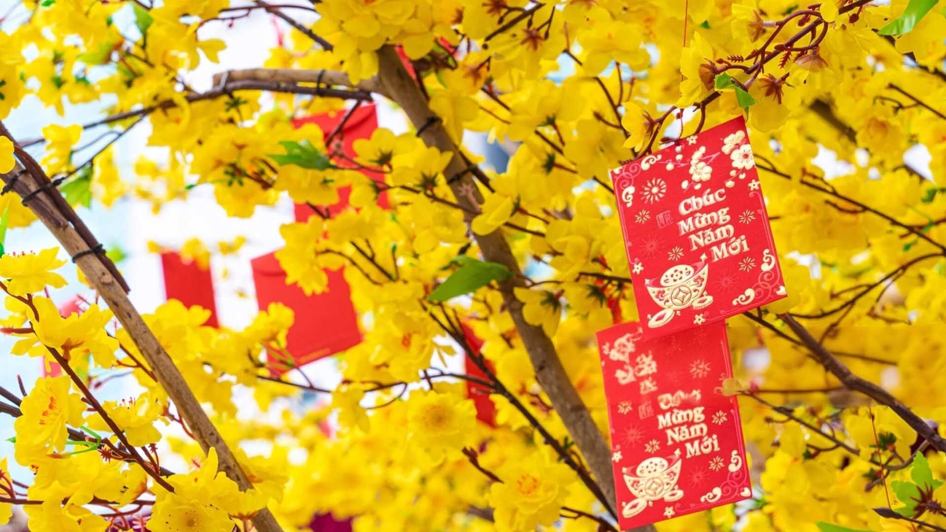 Respecting the Cultural Significance of Tet holiday